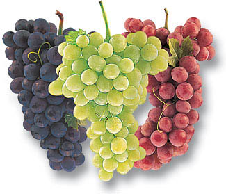 Lagria Winery - Three Grapes